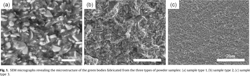 Effect of the particle size and the debinding process on the density of alumina ceramics fabricated by 3D printing based on stereolithography