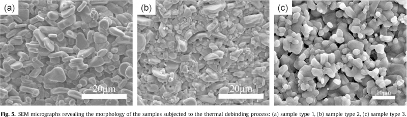 Effect of the particle size and the debinding process on the density of alumina ceramics fabricated by 3D printing based on stereolithography