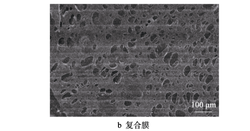 Effect of High Purity Alumina Coating on Polyethylene Diaphragm of Lithium Battery